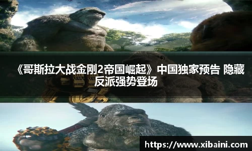 bsports官网