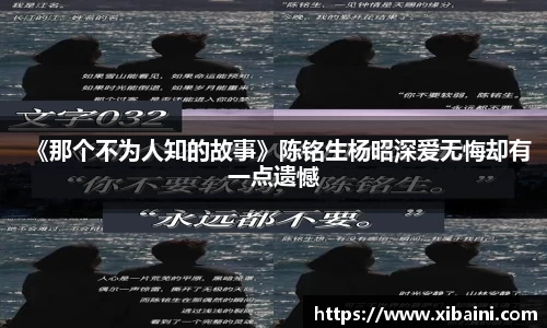 《那个不为人知的故事》陈铭生杨昭深爱无悔却有一点遗憾